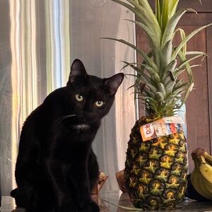 Meet your Posher, Lili